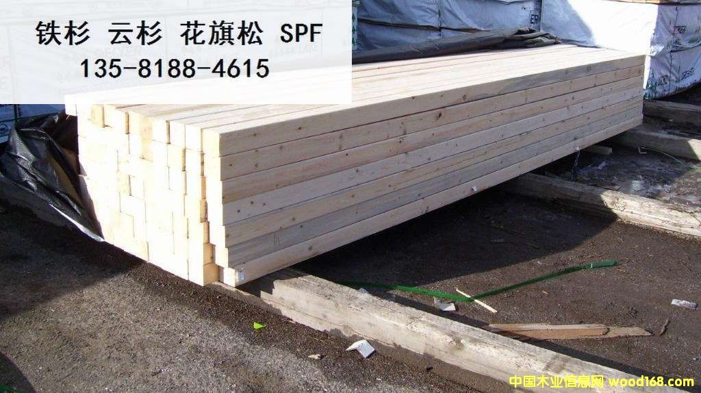 �c���鿴SPF ���� #2�Ŵ�DƬ