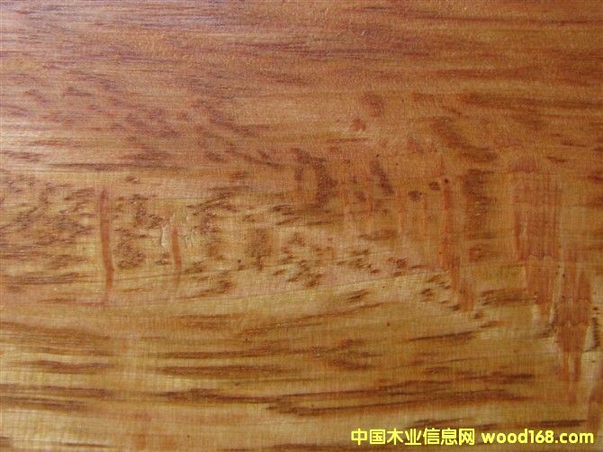 �c(di��n)���鿴Խ���S��ľ�Ŵ�DƬ