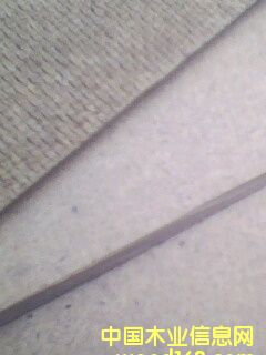 Ӳ�|�w�S���Ԕ����B