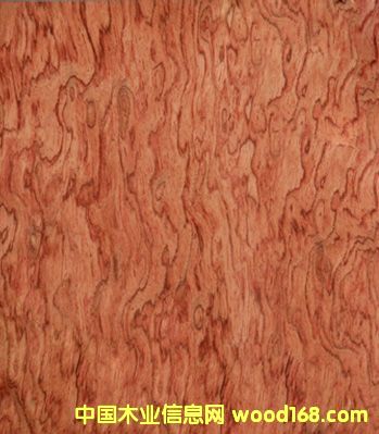 ľƤ2��Ԕ����B