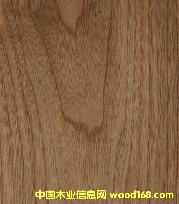 ľƤ1��Ԕ����B