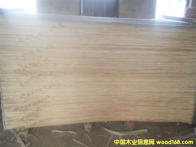 ��ľƤ��Ԕ����B