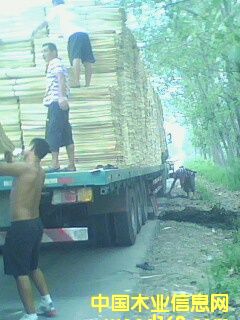 ��ľ�ΰ��Ԕ����B