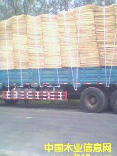 ��ľ�ΰ�/ľ�|Ƭ�ĵ�Ԕ����B