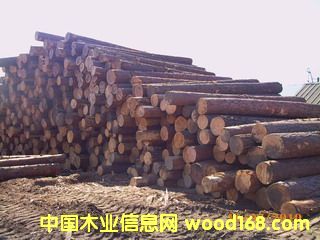 ��ľԭľ��Ԕ����B