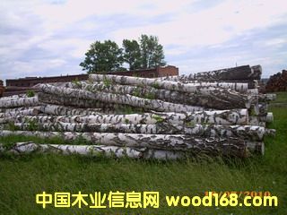 ��ľ��ĵ�Ԕ����B