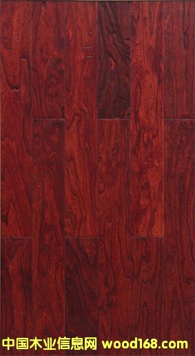 ��ľ--������������Ԕ����B