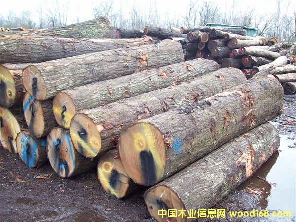 �����t���Ԕ����B