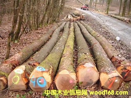 �W�ް����Ԕ����B