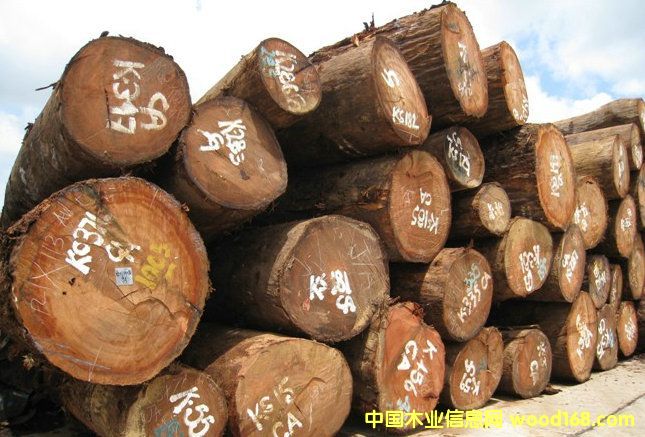 ���ѵ�Ԕ����B