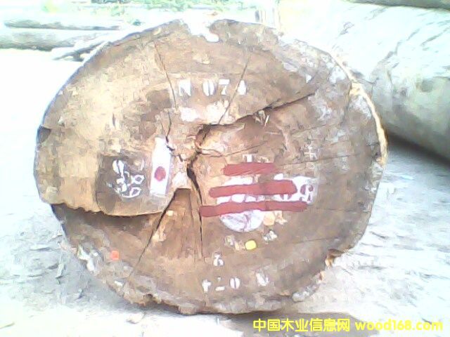 �tõ���Ԕ����B