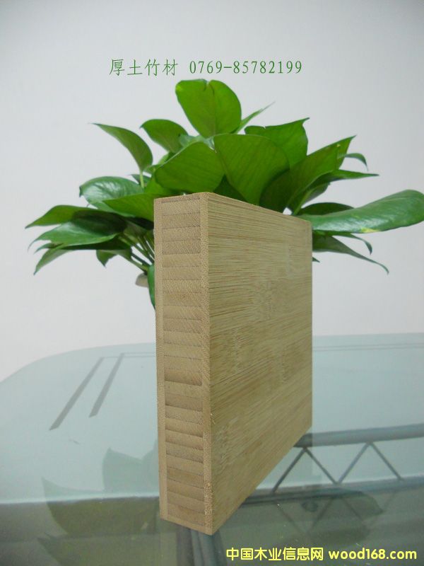 ��������Ԕ����B