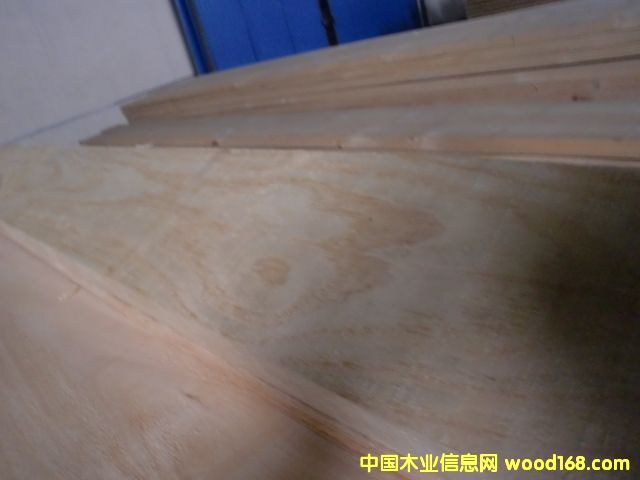 �����mݗ���ɟo���ĵ�Ԕ����B