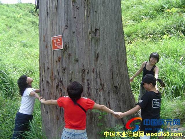 ��ɼľ��Ԕ��(x��)��B