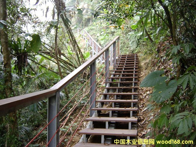 ��ľ�A��̤��