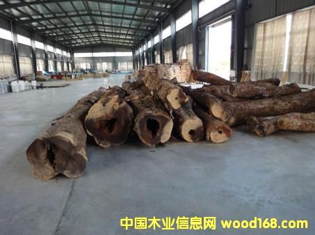 �����R΢���S̴��Ԕ����B