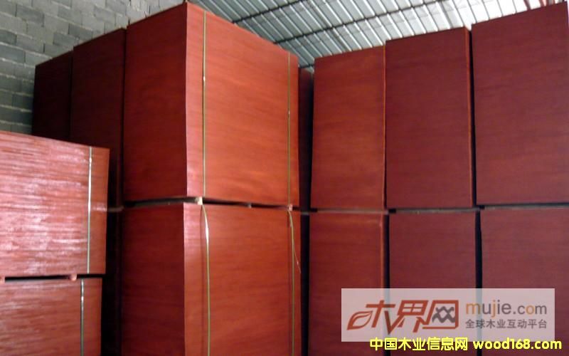 ������Ĥ���Ԕ����B