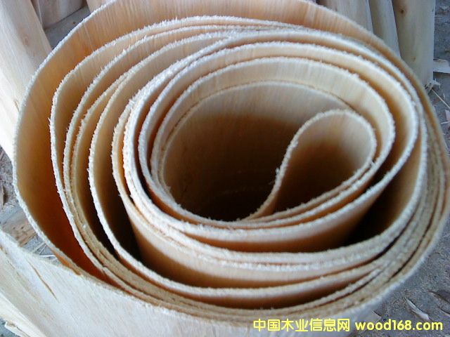 ��ľ�ΰ��Ԕ����B