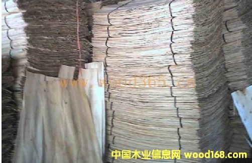 �켉��Ԕ����B