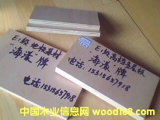 E1���ߙn�h���ذ���ĵ�Ԕ����B