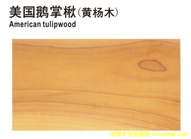 �����Z���(�S��ľ)��Ԕ����B