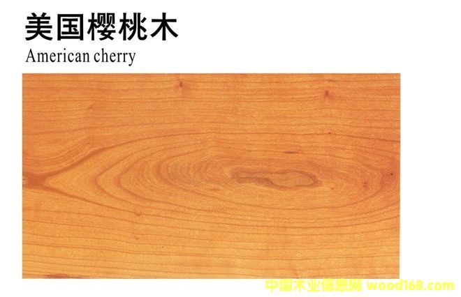 ��������ľ��Ԕ����B