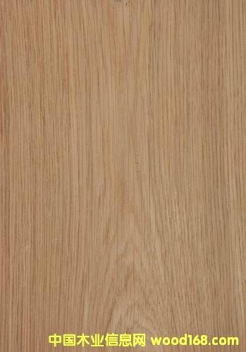 �����Ԕ����B