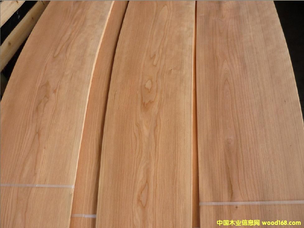 ���ҵ�Ԕ����B