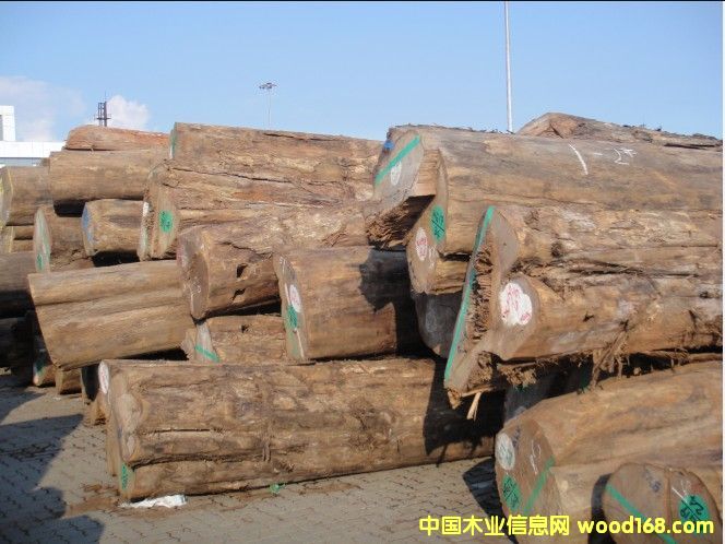 ���郞�|��ľ��Ƭ�ĵ�Ԕ����B