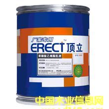 ��򌦽��z ��Ԕ����B