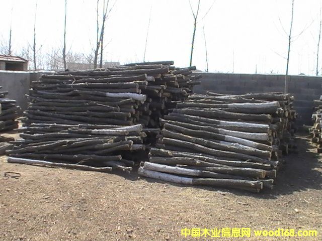 ��ľ��Ԕ����B