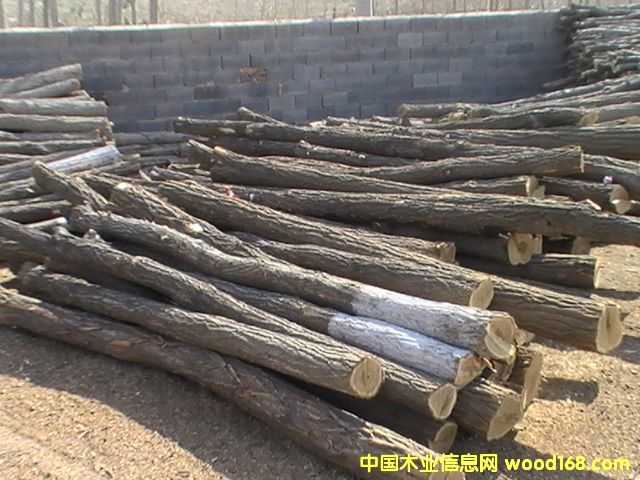 ��ľ��Ԕ����B