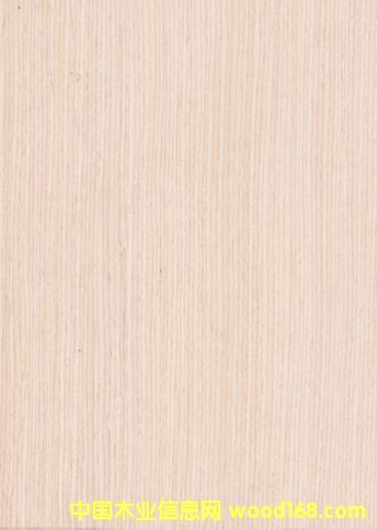 �Ƽ�ľľƤ��Ԕ����B