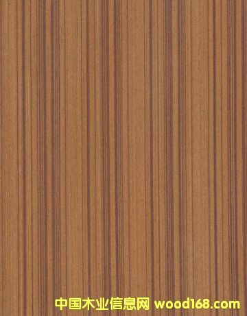 �Ƽ�ľľƤ��Ԕ����B