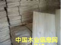 ��ľƤ��Ԕ����B