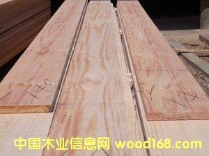 ݗ���ɟo(w��)��(ji��)���1��Ԕ��(x��)��B