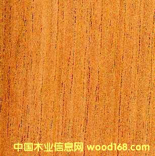 cedro��Ԕ��(x��)��B