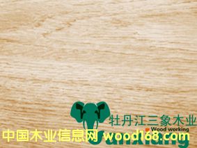��ľ����뻨�y��Ԕ����B