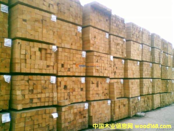 ľ����Ԕ����B