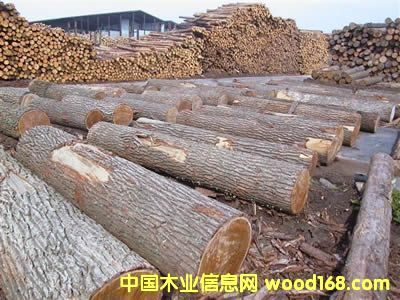 ɼľ2��Ԕ����B