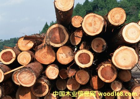 ��ľ��Ԕ����B