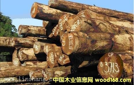 ��ľ���¡����_�T���󏽣���Ԕ����B