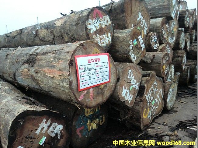 �����y�ڵ�Ԕ����B