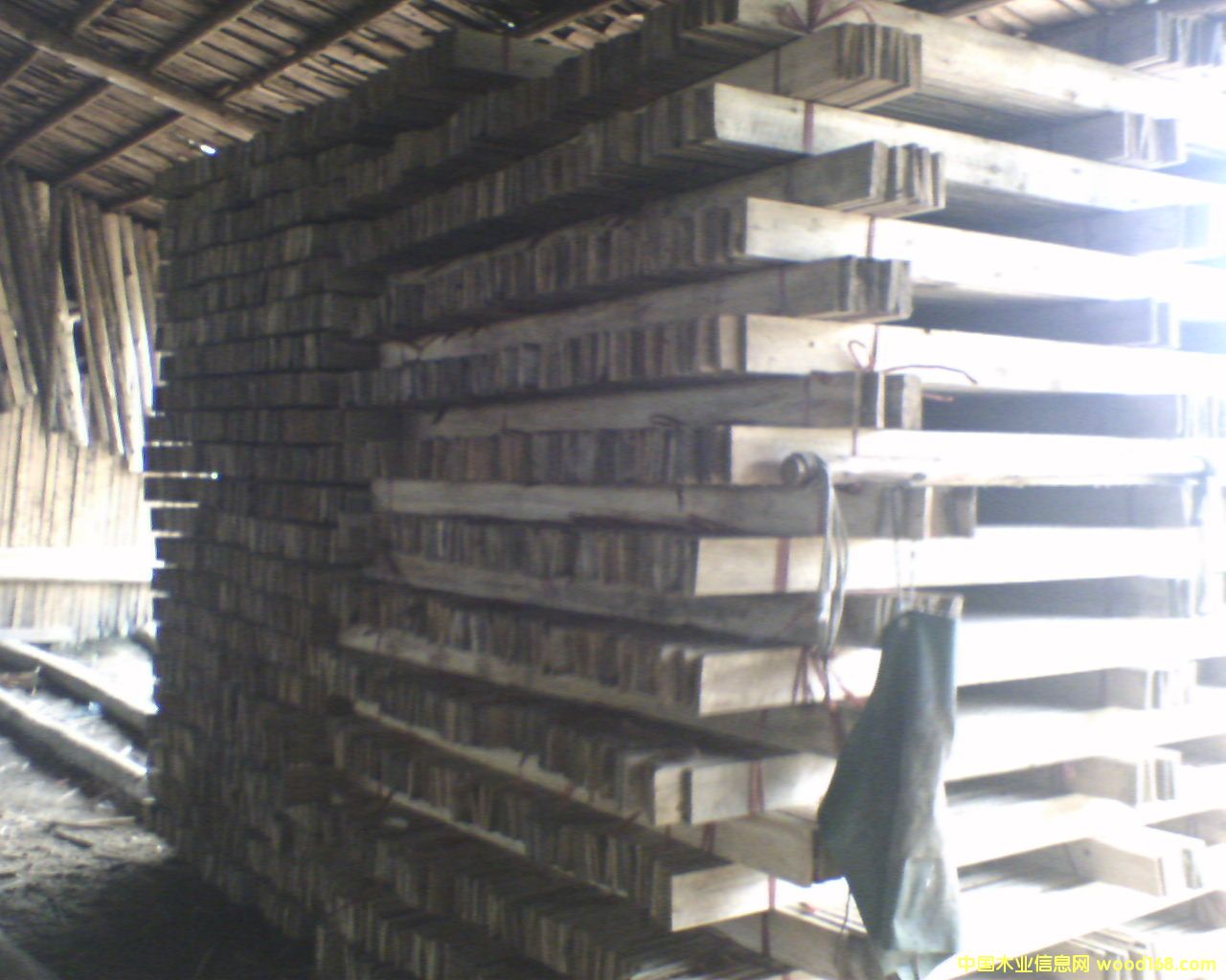 ľ����Ԕ����B