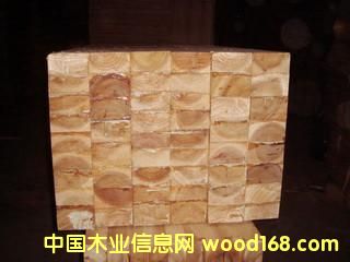 ���zľָ�Ӱ��Ԕ��(x��)��B