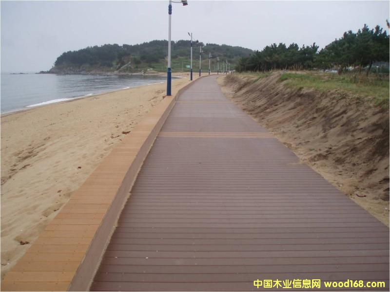 ��ľ�ذ��Ԕ����B