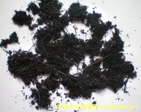 ��̿�z��Ԕ����B