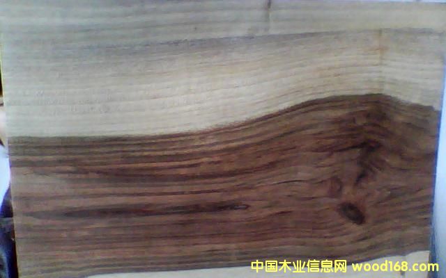 ����ľ��Ԕ����B