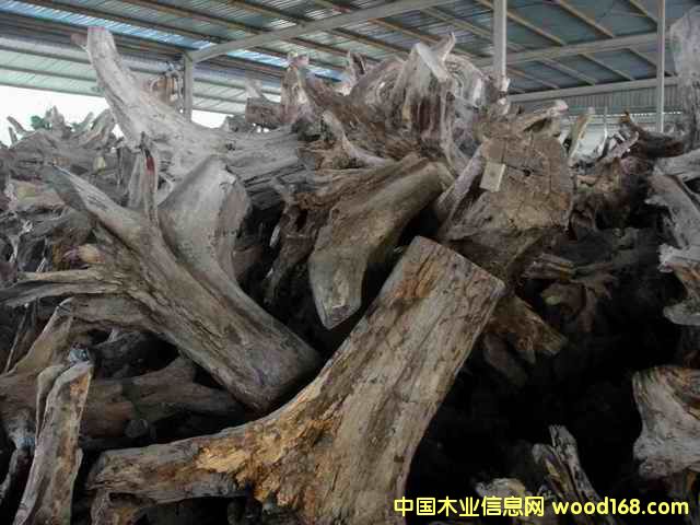 �ϓ�t��֦���^�������Ԕ����B