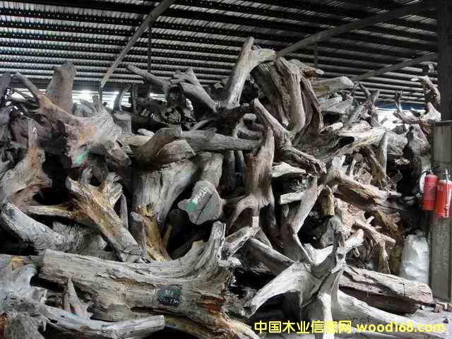 �ϓ�t��֦���^�������Ԕ����B